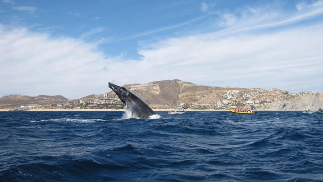 Una imagen impresionante